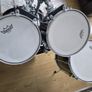 Pearl Pro Export Shell Image 3