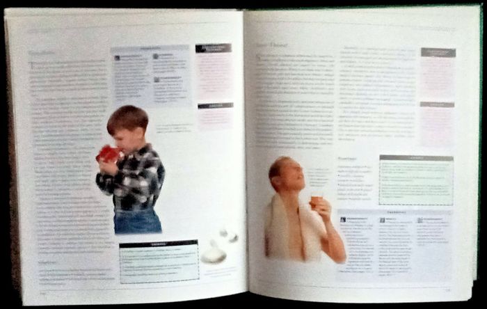 The Complete Illustrated Encyclopedia of Alternative Healing Therapies - Large Hardback