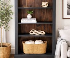 bookcase / bookshelf