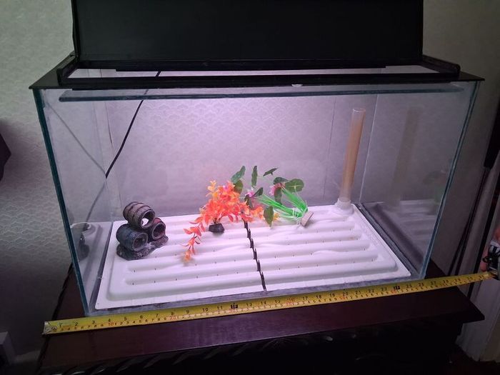 Fish Tank and Cabinet