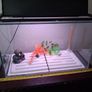 Fish Tank and Cabinet Image 3
