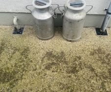 Milk Churns