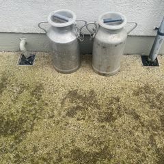 Milk Churns