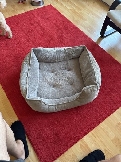 dog bed