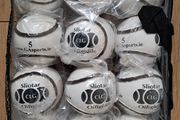 Sliotar X 12