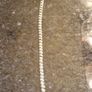 10k gold diamond tennis bracelet Image 2