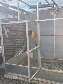 cage