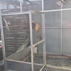 cage