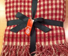 Red Gingham Blanket