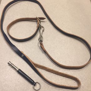 Dog's accessories puppy real leather leash lead  collar tick remover tweezers nail clippers bowls