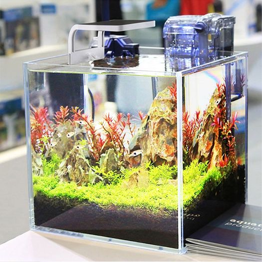SunSun AD-150 Shrimp LED - 5W shrimp tank lamp