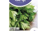 Chervil seeds 5g  Sow in July - August