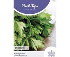 Chervil seeds 5g  Sow in July - August