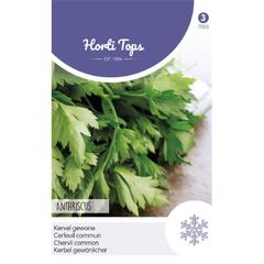 Chervil seeds 5g  Sow in July - August