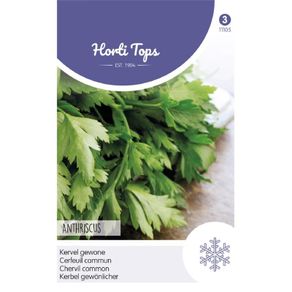 Chervil seeds 5g  Sow in July - August