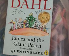 Roald Dahl (B) (317)