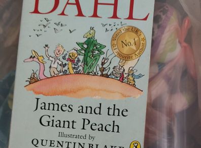 Roald Dahl (B) (317)