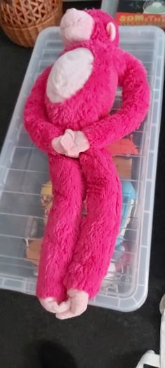 Cheeky Monkey Teddy plush (DC)