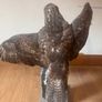 taxidermy buzzard Image 3