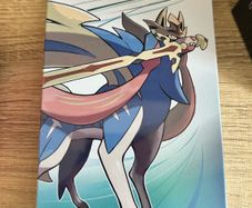 Pokemon Sword Steel Case No Game
