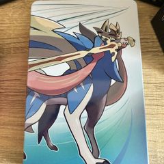 Pokemon Sword Steel Case No Game
