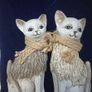 Cats Image 3
