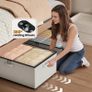 63L Under Bed Storage on Wheels, 2 Pack Rolling Underbed Storage Bins, Grey Under Bed Storage Box with Lid & Label, Underbed Storage Boxes for Clothes, Shoes, Blankets, Toys Image 6