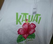 new next top
