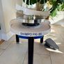 Shimpo RK-55 VL-Lite Pottery Wheel Image 2