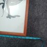 picture Image 7