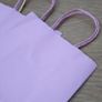 Multicoloured Party Or Gift  Bags x7 Price For All Image 5