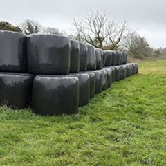 Silage bales