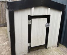 Large Dog Kennel