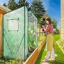 walk in greenhouse Image 6