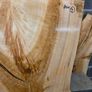 Live Edge Ash Slab - Kiln Dried Image 4