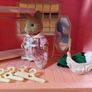 Sylvanian Boutique Image 8