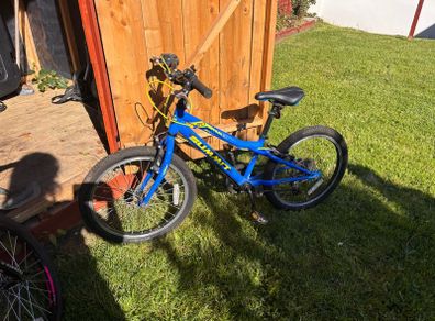 Boys Bike 20"