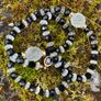 Art Deco Style Glass Beaded Necklace Image 6