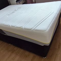 Queen Bed and Mattress