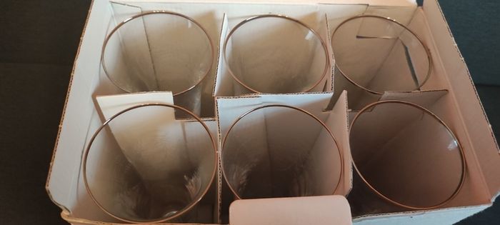 Bohemia Angela 6 Champagne Flute in box.