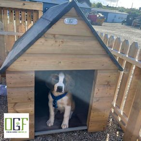 Large Dog Kennels