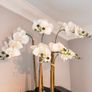 White Artificial Orchid Image 2