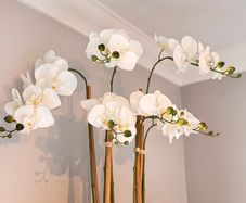Artificial Orchid