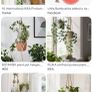 Plant pot hanger Image 2