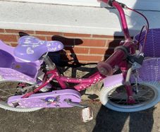 Raleigh Molli - girls bike