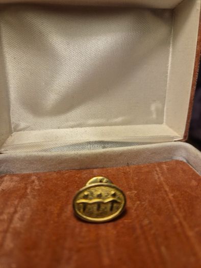 Vintage Pin