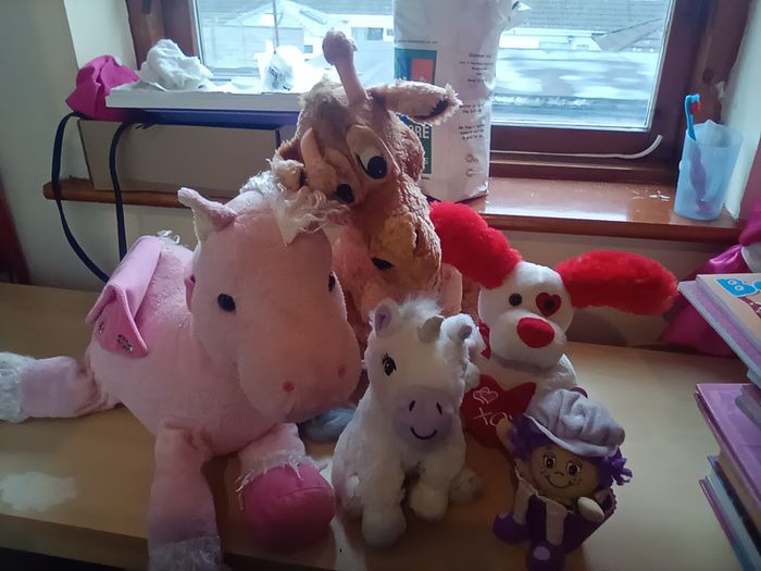 Teddys