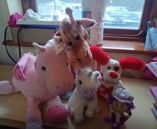 Teddys