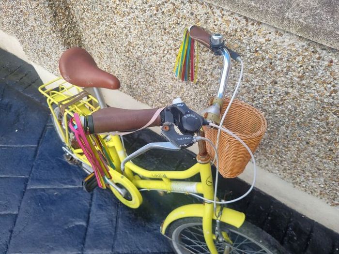 bike vintage kids bike