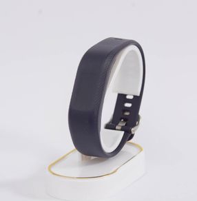 Garmin Vivosmart 3